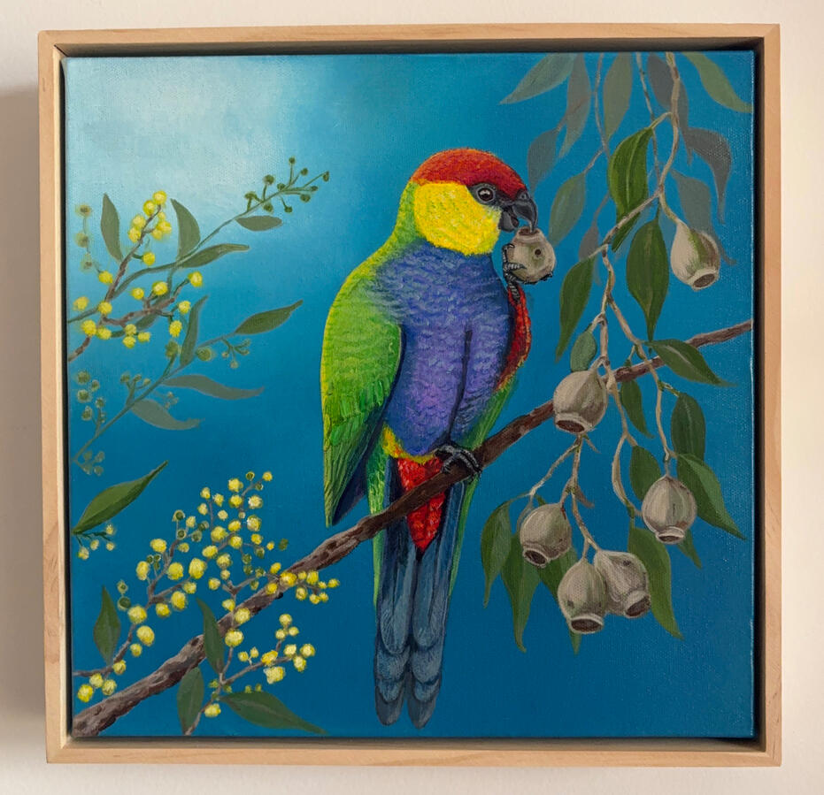 Blue-Sky Visitor (Red-Capped Parrot)