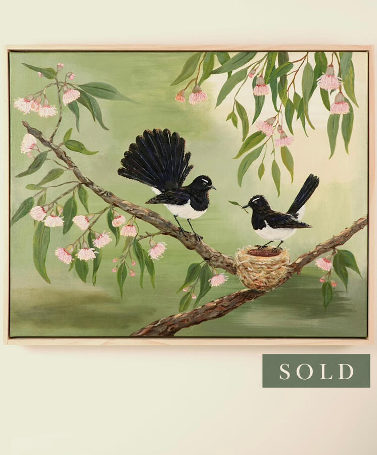 Hope in Spring (Willy Wagtails)